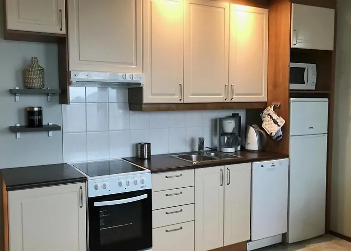 公寓 Seastar 101 卡拉约基